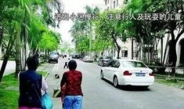 深圳小区胡小姐爆料视频,揭秘社区生活背后故事