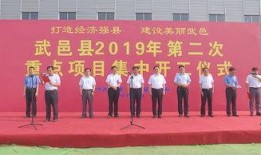 武邑近期爆料新闻视频,视频揭露惊人真相